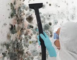 Mold Remediation for Rental Properties in Pine Lawn, MO